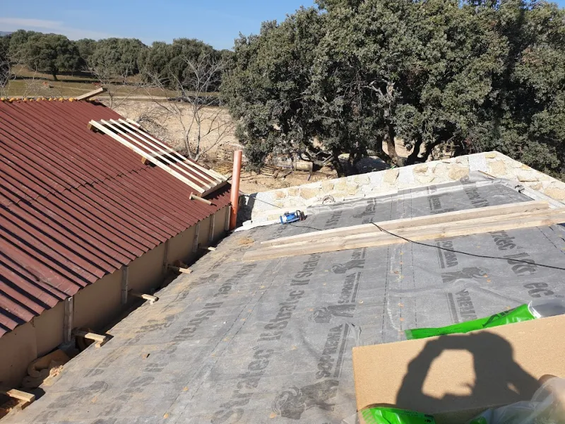Foto del proyecto FINCA DE MADRID